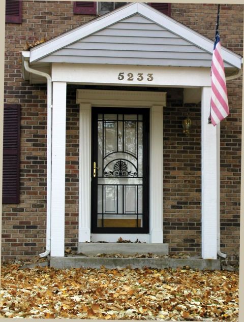 Steel security entry door
