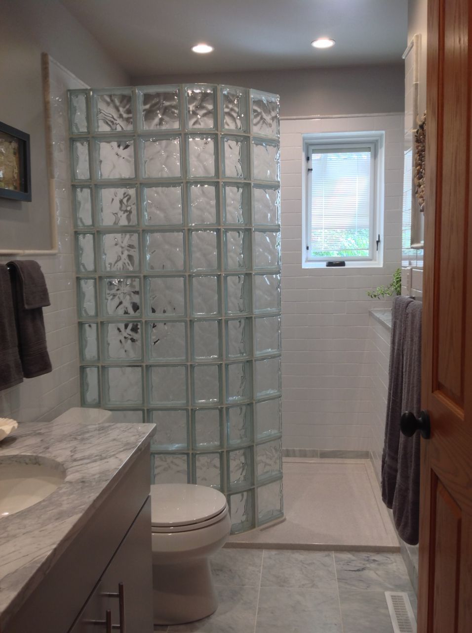 Walk in shower with glass blocks in a guest bathroom remodel in Columbus Ohio