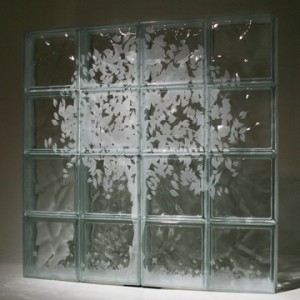 Etched glass blocks that can be used for windows or shower or partition walls