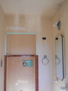 Existing small shower enclosure 