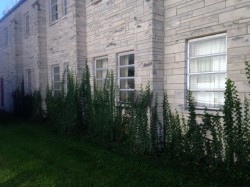 Old single pane aluminum windows prior to glass block installation