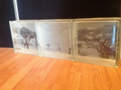 Nature scene on etched glass blocks that will be used as a transom window