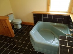 Original small bathroom that was removed 