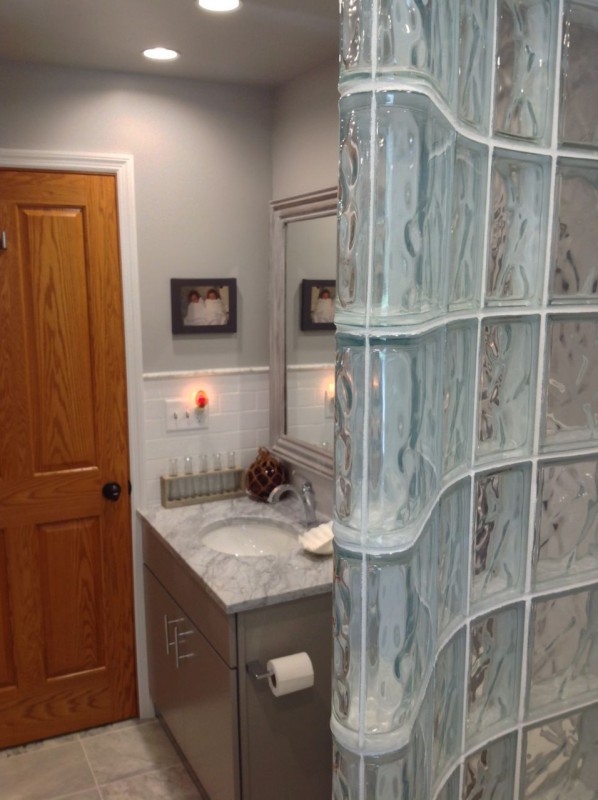 Puck lighting in a guest bathroom with a walk in glass block curved wall 