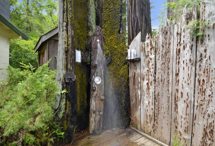 Outdoor shower out of the middle of a Sequoia Tree in California