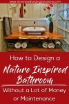 How to Design a Nature Inspired Bathroom Without a Lot of Money or Maintenance