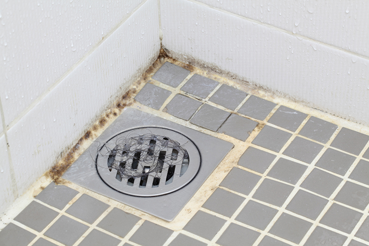 Disadvantage 6 tile shower floor with moldy bacteria filled mosais grout joints | Innovate Building Solutions | Innovate Building Soltuions | #Tileshower #BathroomRemodel #GroutJoints