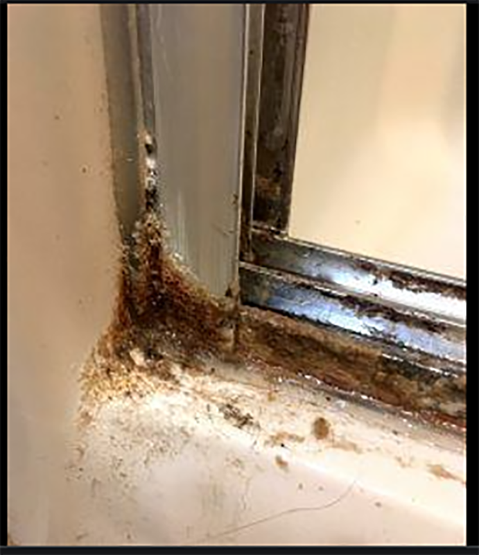 Advantages and Disadvantages of Thicker Frameless Glass Shower Doors ...