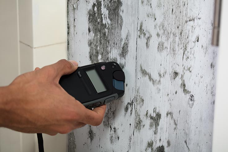 Part 1 - fit reason 11 mold Person Measuring Wetness Of Moldy Wall | Innovate Building Solutions | Bathroom Remodeling Ideas | Bathroom Mold | How to get rid of mold