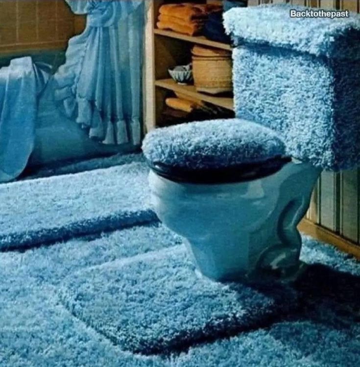 Sign 7 carpet on a toilet in an outdated bathroom | Innovate Building Solutions | bathroom remodeling Toilet bathroom carpet | Outdated bathroom