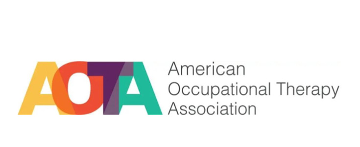 Step 5 Occupational Therapist Association - Innovate Building Solutions, Cleveland Ohio Bathroom Showers, Walk In Shower Designs, Accessible Shower Needs, Age In Place Bathroom Shower